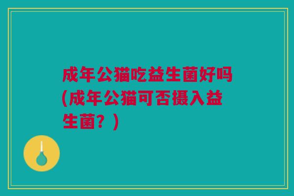 成年公猫吃益生菌好吗(成年公猫可否摄入益生菌？)