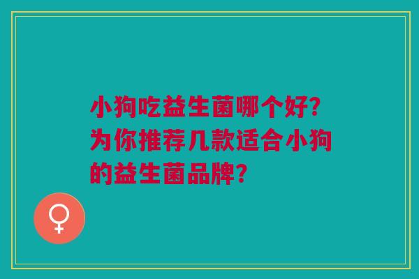 小狗吃益生菌哪个好？为你推荐几款适合小狗的益生菌品牌？