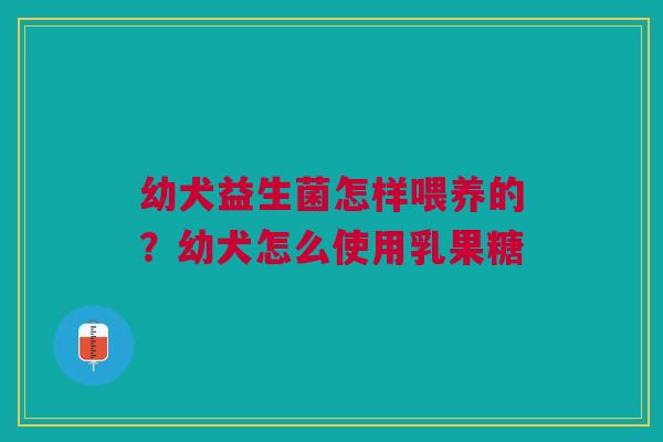 幼犬益生菌怎样喂养的？幼犬怎么使用乳果糖