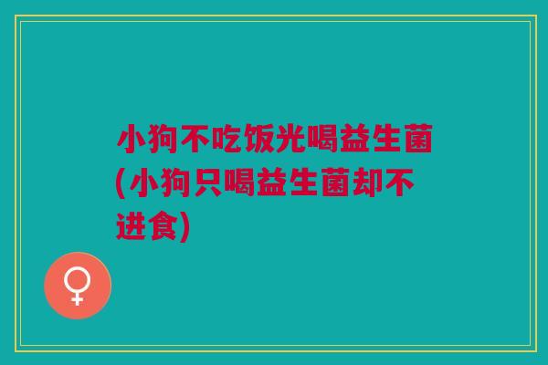 小狗不吃饭光喝益生菌(小狗只喝益生菌却不进食)