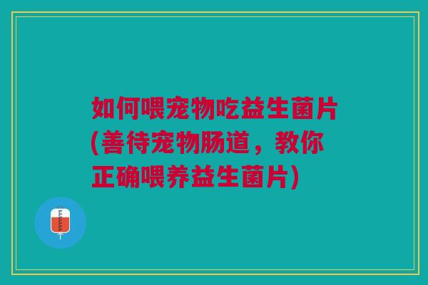 如何喂宠物吃益生菌片(善待宠物肠道，教你正确喂养益生菌片)