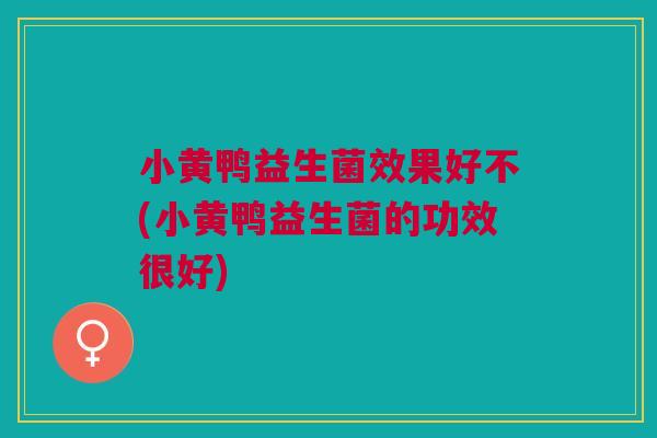 小黄鸭益生菌效果好不(小黄鸭益生菌的功效很好)