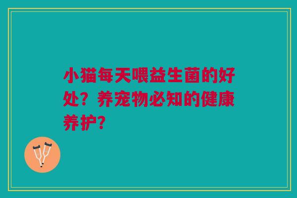小猫每天喂益生菌的好处？养宠物必知的健康养护？