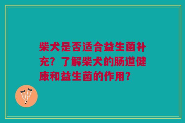 柴犬是否适合益生菌补充？了解柴犬的肠道健康和益生菌的作用？