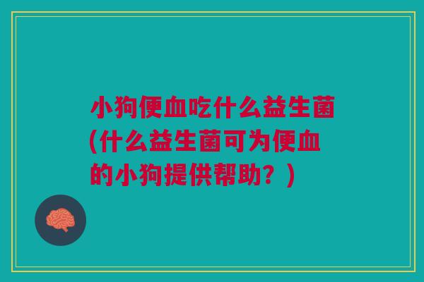 小狗便血吃什么益生菌(什么益生菌可为便血的小狗提供帮助？)