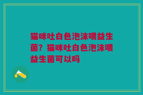 猫咪吐白色泡沫喂益生菌?猫咪吐白色泡沫喂益生菌可以吗
