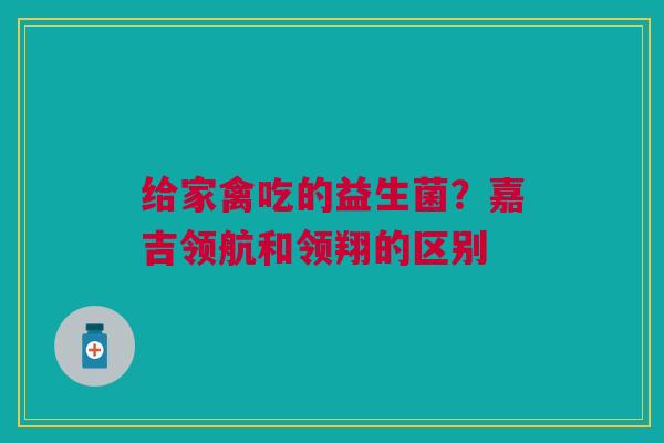 给家禽吃的益生菌?嘉吉领航和领翔的区别 给家禽吃的益生菌?嘉吉领航和领翔的区别