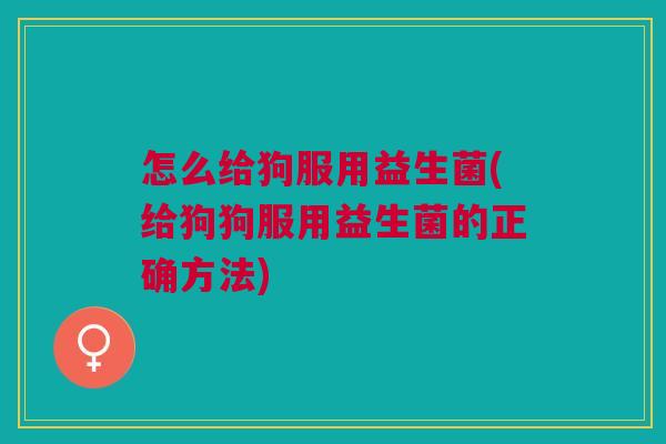 怎么给狗服用益生菌(给狗狗服用益生菌的正确方法)