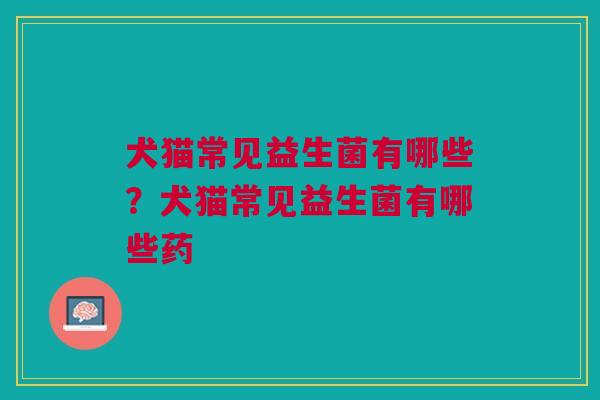 犬猫常见益生菌有哪些?犬猫常见益生菌有哪些药