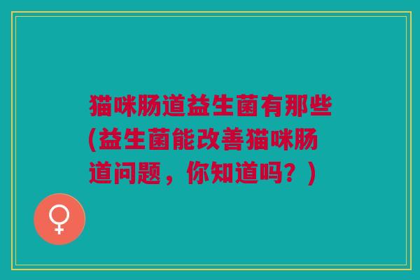 猫咪肠道益生菌有那些(益生菌能改善猫咪肠道问题,你知道吗?)