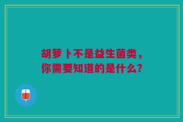 胡萝卜不是益生菌类,你需要知道的是什么?