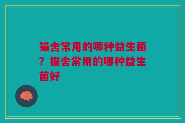 猫舍常用的哪种益生菌?猫舍常用的哪种益生菌好