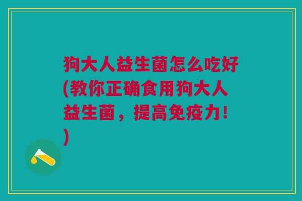 狗大人益生菌怎么吃好(教你正确食用狗大人益生菌,提高力!) 狗大人益生菌怎么吃好(教你正确食用狗大人益生菌,提高力!)