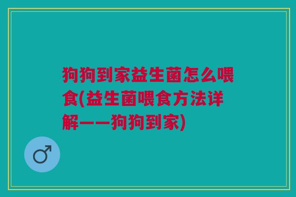 狗狗到家益生菌怎么喂食(益生菌喂食方法详解——狗狗到家)