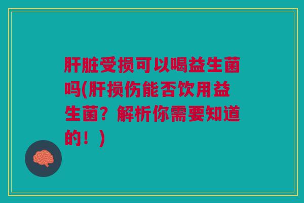 肝脏受损可以喝益生菌吗(肝损伤能否饮用益生菌?解析你需要知道的!)