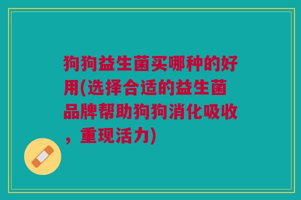 狗狗益生菌买哪种的好用(选择合适的益生菌品牌帮助狗狗消化吸收,重现活力)