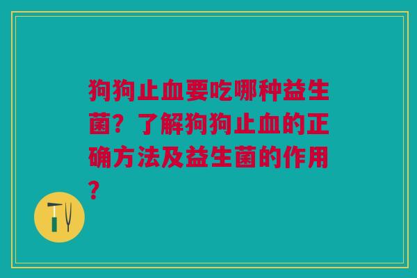 狗狗止血要吃哪种益生菌?了解狗狗止血的正确方法及益生菌的作用?