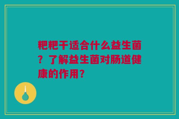 粑粑干适合什么益生菌?了解益生菌对肠道健康的作用? 粑粑干适合什么益生菌?了解益生菌对肠道健康的作用?