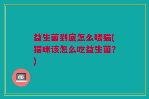益生菌到底怎么喂猫(猫咪该怎么吃益生菌?)