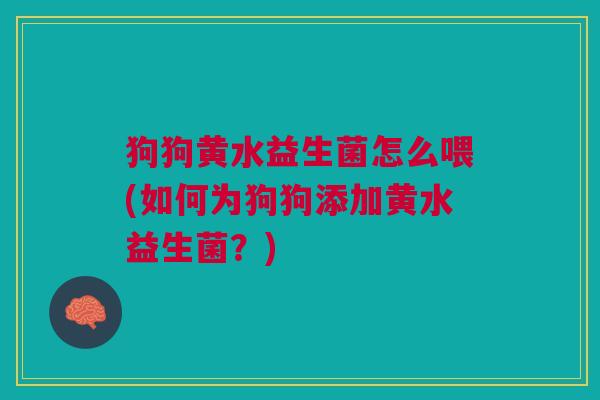 狗狗黄水益生菌怎么喂(如何为狗狗添加黄水益生菌?) 狗狗黄水益生菌怎么喂(如何为狗狗添加黄水益生菌?)
