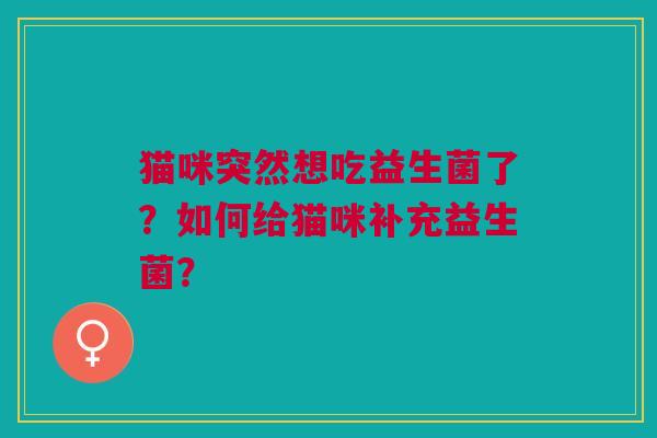 猫咪突然想吃益生菌了?如何给猫咪补充益生菌? 猫咪突然想吃益生菌了?如何给猫咪补充益生菌?
