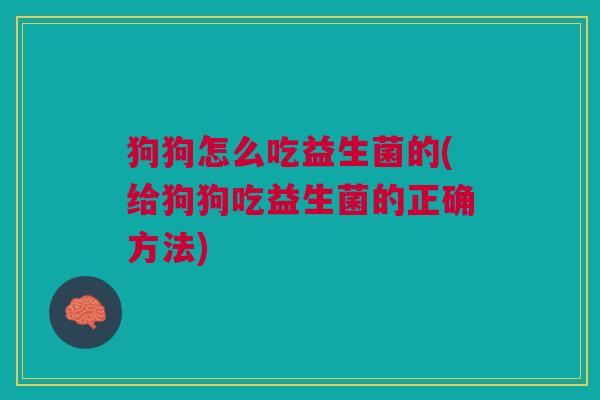 狗狗怎么吃益生菌的(给狗狗吃益生菌的正确方法) 狗狗怎么吃益生菌的(给狗狗吃益生菌的正确方法)