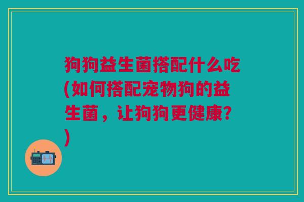 狗狗益生菌搭配什么吃(如何搭配宠物狗的益生菌,让狗狗更健康?)