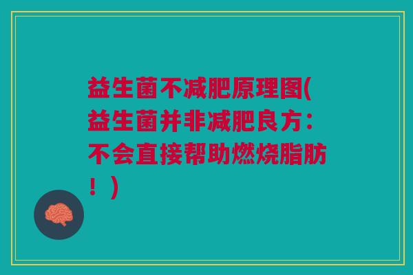 益生菌不原理图(益生菌并非良方：不会直接帮助燃烧脂肪！)