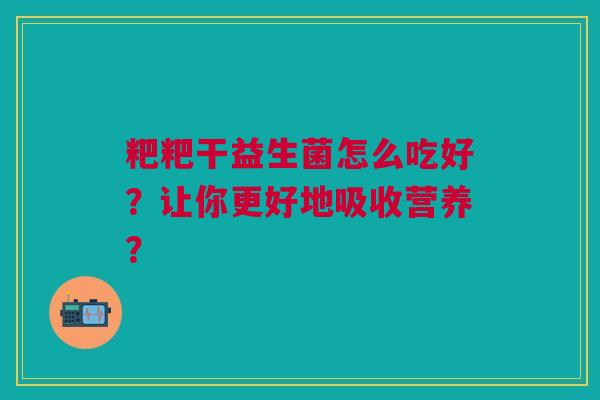 粑粑干益生菌怎么吃好？让你更好地吸收营养？