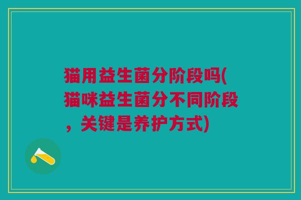 猫用益生菌分阶段吗(猫咪益生菌分不同阶段,关键是养护方式)