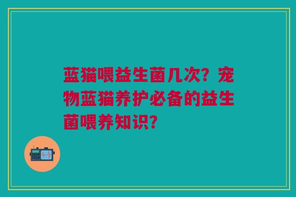 蓝猫喂益生菌几次?宠物蓝猫养护必备的益生菌喂养知识? 蓝猫喂益生菌几次?宠物蓝猫养护必备的益生菌喂养知识?