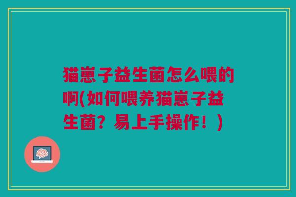 猫崽子益生菌怎么喂的啊(如何喂养猫崽子益生菌?易上手操作!) 猫崽子益生菌怎么喂的啊(如何喂养猫崽子益生菌?易上手操作!)