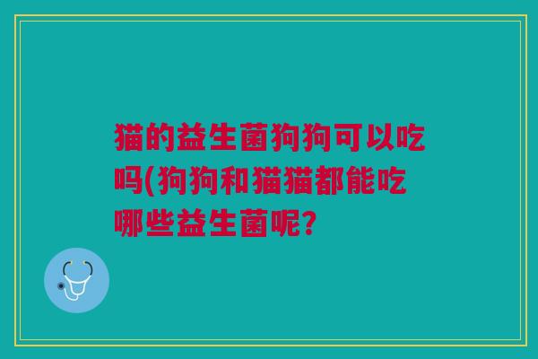 猫的益生菌狗狗可以吃吗(狗狗和猫猫都能吃哪些益生菌呢? 猫的益生菌狗狗可以吃吗(狗狗和猫猫都能吃哪些益生菌呢?