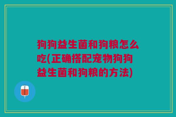狗狗益生菌和狗粮怎么吃(正确搭配宠物狗狗益生菌和狗粮的方法)