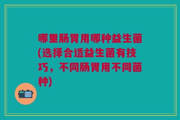 哪里肠胃用哪种益生菌(选择合适益生菌有技巧,不同肠胃用不同菌种)