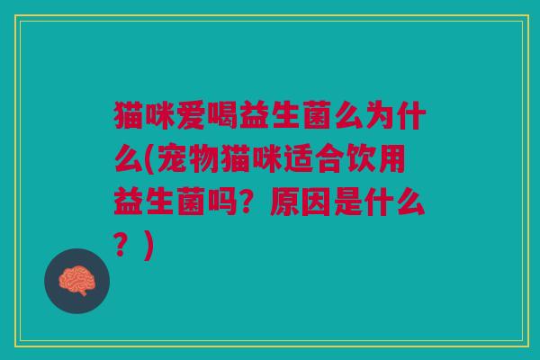 猫咪爱喝益生菌么为什么(宠物猫咪适合饮用益生菌吗?原因是什么?) 猫咪爱喝益生菌么为什么(宠物猫咪适合饮用益生菌吗?原因是什么?)