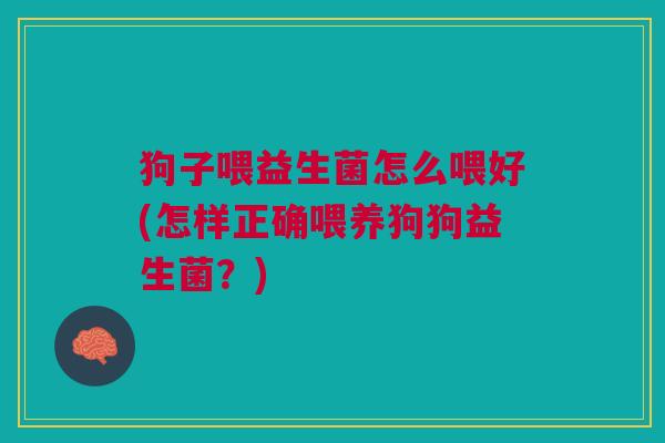 狗子喂益生菌怎么喂好(怎样正确喂养狗狗益生菌?)