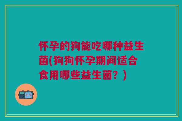 怀孕的狗能吃哪种益生菌(狗狗怀孕期间适合食用哪些益生菌?) 怀孕的狗能吃哪种益生菌(狗狗怀孕期间适合食用哪些益生菌?)