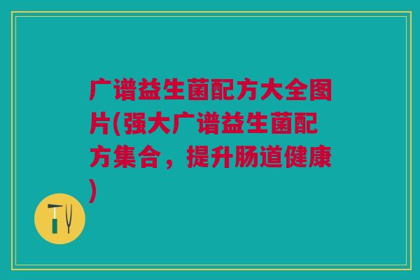 广谱益生菌配方大全图片(强大广谱益生菌配方集合,提升肠道健康)