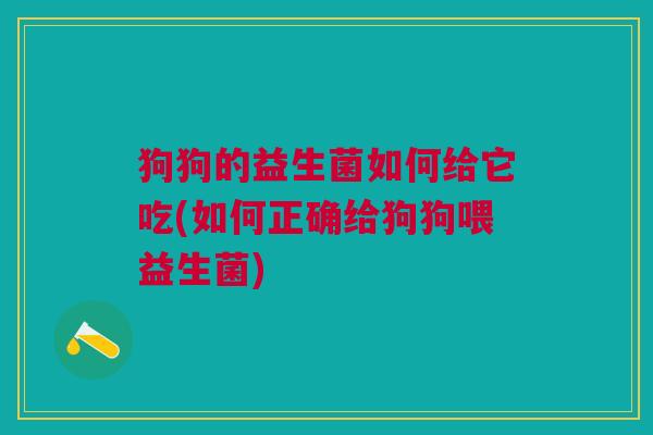 狗狗的益生菌如何给它吃(如何正确给狗狗喂益生菌)
