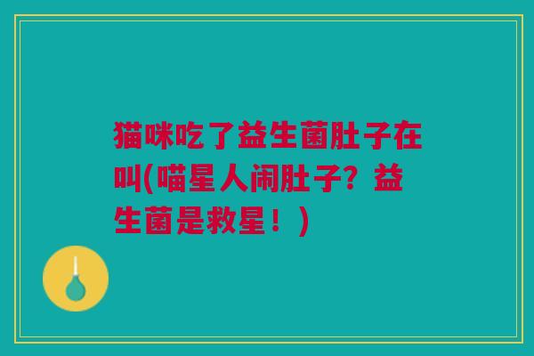 猫咪吃了益生菌肚子在叫(喵星人闹肚子?益生菌是救星!)