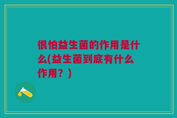 很怕益生菌的作用是什么(益生菌到底有什么作用?)