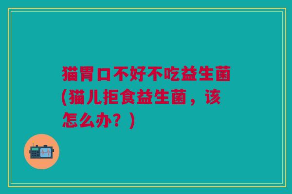 猫胃口不好不吃益生菌(猫儿拒食益生菌,该怎么办?) 猫胃口不好不吃益生菌(猫儿拒食益生菌,该怎么办?)