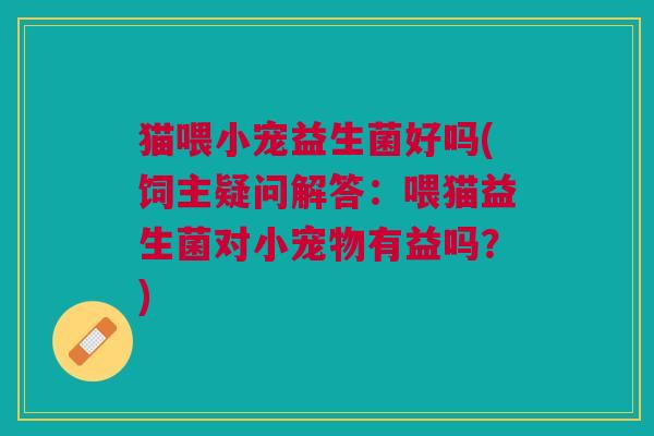 猫喂小宠益生菌好吗(饲主疑问解答:喂猫益生菌对小宠物有益吗?)