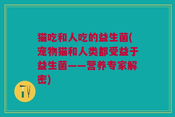 猫吃和人吃的益生菌(宠物猫和人类都受益于益生菌——营养专家解密)