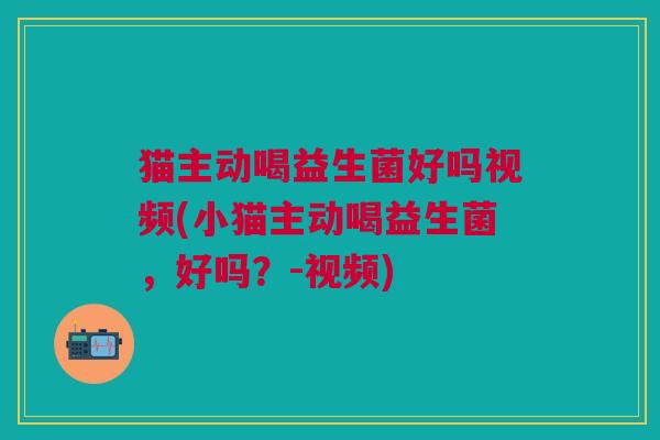 猫主动喝益生菌好吗视频(小猫主动喝益生菌,好吗?-视频) 猫主动喝益生菌好吗视频(小猫主动喝益生菌,好吗?-视频)