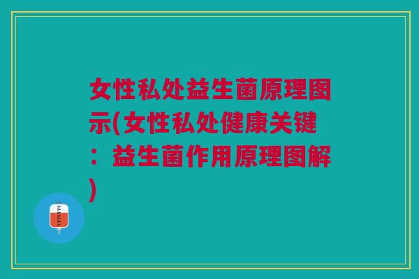 女性私处益生菌原理图示(女性私处健康关键:益生菌作用原理图解)