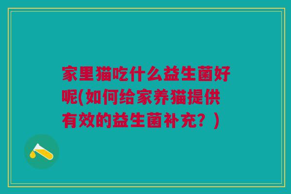 家里猫吃什么益生菌好呢(如何给家养猫提供有效的益生菌补充?)