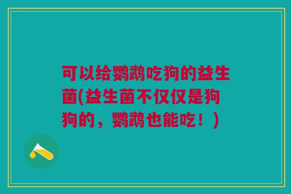 可以给鹦鹉吃狗的益生菌(益生菌不仅仅是狗狗的，鹦鹉也能吃！)
