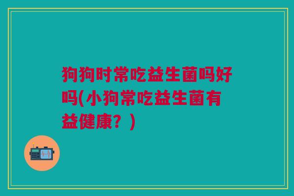 狗狗时常吃益生菌吗好吗(小狗常吃益生菌有益健康?)